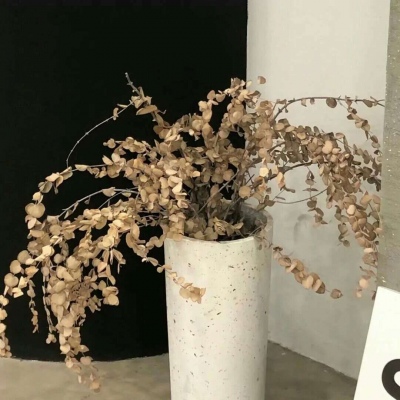 扎兰屯福瑞交流群